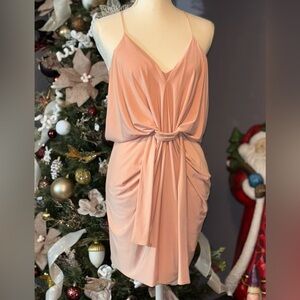 Misa Los Angeles Domino Draped Mini Dress.